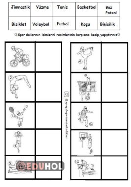Spor Dalları Etkinliği