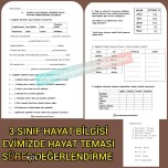 3.sınıf Hayat Bilgisi Evimizde Hayat Tema Değerlendirme
