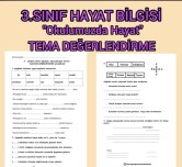 3.Sınıf Hayat Bilgisi Tema Değerlendirme