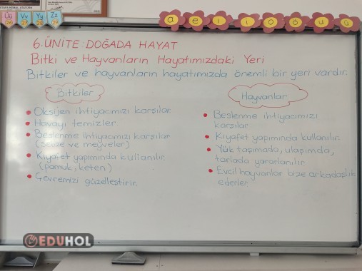 Bitki ve hayvanların hayatınızdaki yeri ders notu