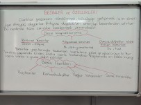Besinler ve Özellikleri ders notu
