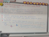 Işığın görmedeki rolü ders notu