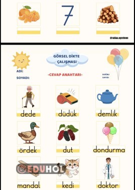 D SESİ GÖRSEL DİKTE ÇALIŞMASI