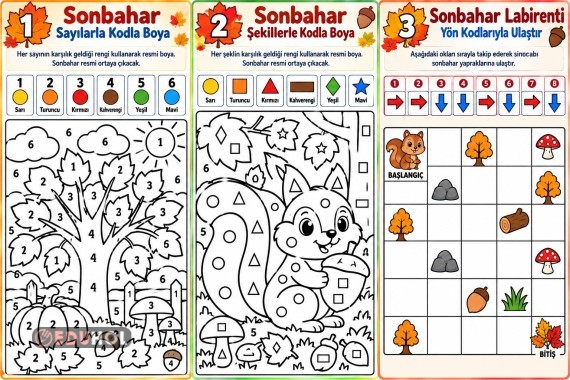 Kodlama haftası boyama