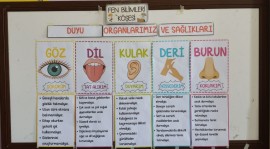 FEN BİLİMLERİ DUYU ORGANLARIMIZ PANO