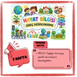 HAYAT BİLGİSİ SÜREÇ DEĞERLENDİRME 7. HAFTA