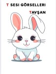 T harfi tahtaya yansıtmalık görseller