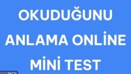 OKUDUĞUNU ANLAMA MİNİ TEST/ NASIL HİSSEDİYORUM