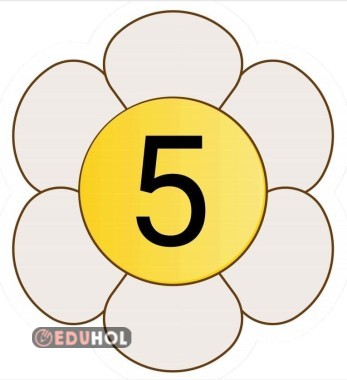 BEŞER Ritmik Sayma PANO KARTLARI