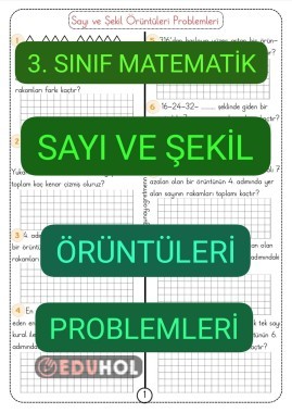 Örüntü PROBLEMLERİ