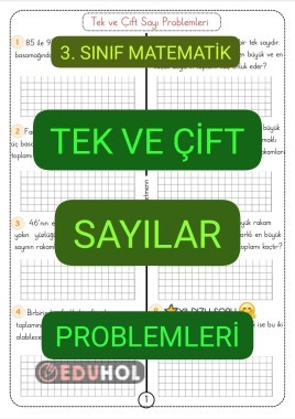 Tek ve Çift Sayı PROBLEMLERİ