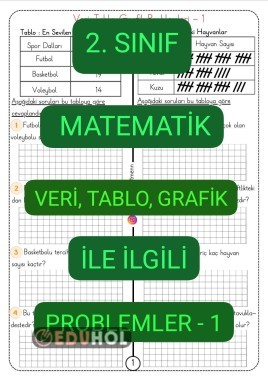 Veri, Tablo, Grafik Problemleri-1