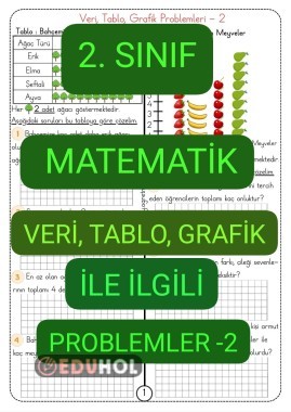Veri, Tablo, Grafik Problemleri-2