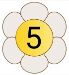 BEŞER Ritmik Sayma PANO KARTLARI