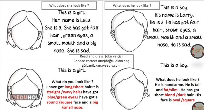 5.3 what does s/he look like draw face choose correct one