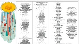 5.5 unıt vocabularıes lıst