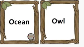 5.7 kelime flashcards