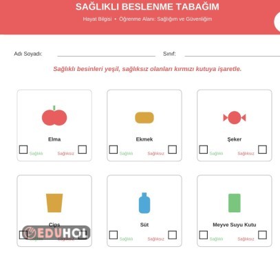 1. SINF HAYAT BİLGİSİ -SAĞLIĞIM VE GÜVENLİĞİM-Sağlıklı Beslenme Tabağım