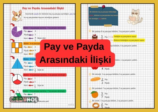 Pay ve Payda Arasındaki İlişki Defter Notu