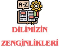 Dillimizin  Zenginlikleri Sınıf Pano Görseli