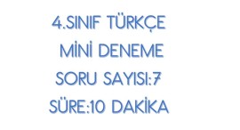 4.SINIF MİNİ DENEME