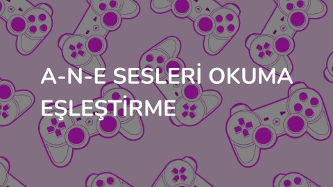 A-N-E Sesleri Kelime ve Hece Okuma Eşleştirme