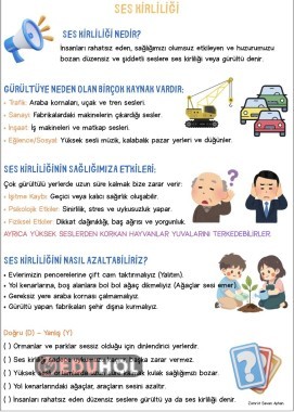 Ses kirliliği konu anlatımı ve D/Y