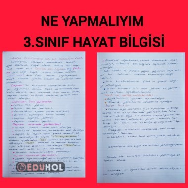 Ne yapmalıyım 3.sınıf hayat bilgisi