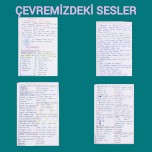 Çevremizdeki sesler 3.sınıf Fen bilimleri
