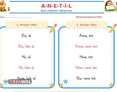 A-N-E-T-İ  -L 6 SEVİYELİ OKUMA