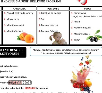 ILKOKUL SINIF BESLENME PROGRAMI