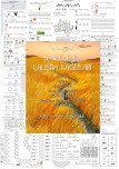 ANETİL Çalışma Kağıtları