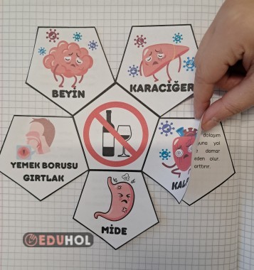 Alkolün Zararları interaktif defter etkinliği