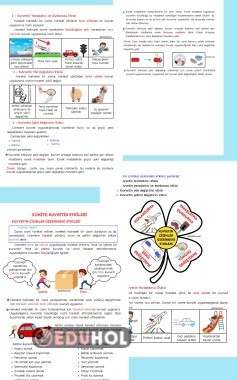 Kuvvetin Cisimler Üzerindeki Etkileri