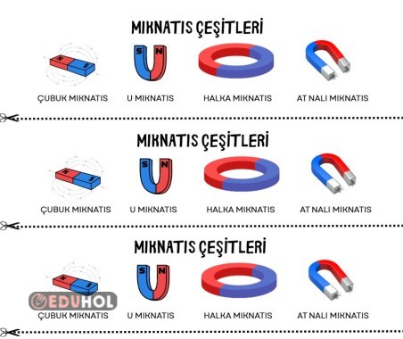 4.SINIF MIKNATIS ÇEŞİTLERİ DEFTERE YAPIŞTIRMA