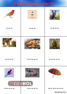 Ş Sesi Görsel Dikte