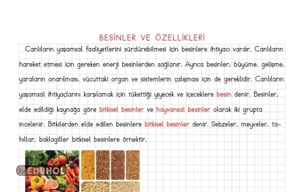 Besinlerimiz ve Özellikleri Defter Notu