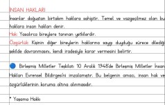İnsan Hakları defter notu