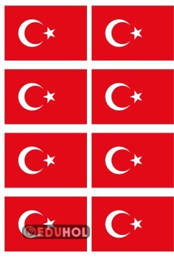 HAYAT BİLGİSİ DEFTERİNE YAPIŞTIRMAK İÇİN TÜRK BAYRAĞI