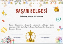 BAŞARI BELGESİ