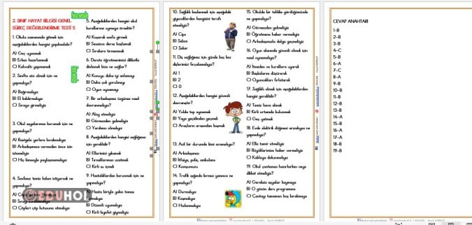2. SINIF HAYAT BİLGİSİ   GENEL  SÜREÇ  DEĞERLENDİRME TESTİ 5