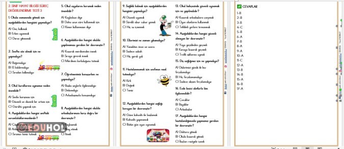 2.  SINIF HAYAT BİLGİSİ SÜREÇ DEĞERLENDİRME TESTİ 3
