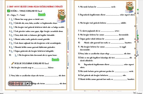 2. SINIF HAYAT BİLİGİSİ CANIM AİLEM DEĞERLENDİRME ETKİNLİĞİ