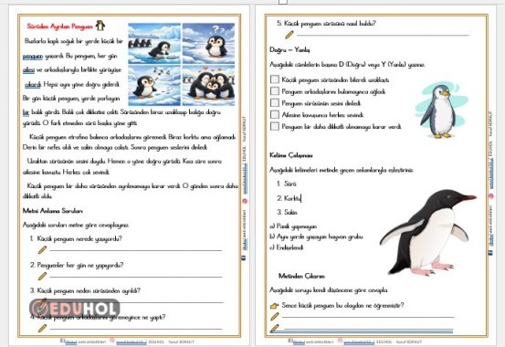 2. SINIF 'SÜRÜDEN AYRILAN PENGUEN' OKUMA ANLAMA VE DEĞERLENDİRME ETKİNLİĞİ