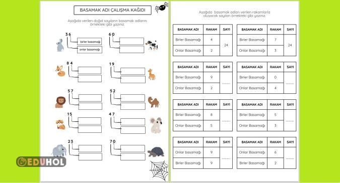 BASAMAK ADLARI ÇALIŞMA KAĞIDI.