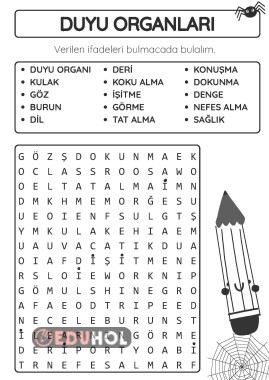 DUYU ORGANLARI BULMACA