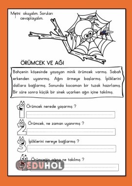 Ğ ESİ ÖRÜMCEK METNİ ÇALIŞMA KAĞIDI