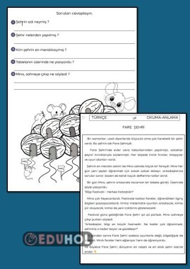 OKUDUĞUNU ANLA, BOYA ÇALIŞMA KAĞIDI