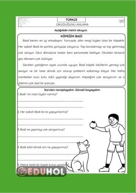 OKUMA ANLAMA ÇALIŞMA KAĞIDI