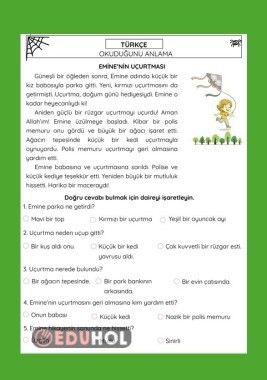 OKUMA ANLAMA ÇALIŞMA KAĞIDI